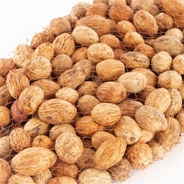 Amra pods 20 stk